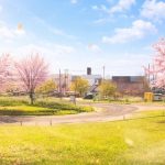 無理しない働き方、チャットで叶います✨