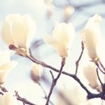 勇気を出した一歩がきっと変わります✨