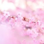 卒業というスタートライン⭐︎